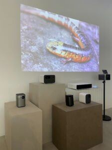 아이슬란드 Mii의 전시 큐브에 진열된 제품들