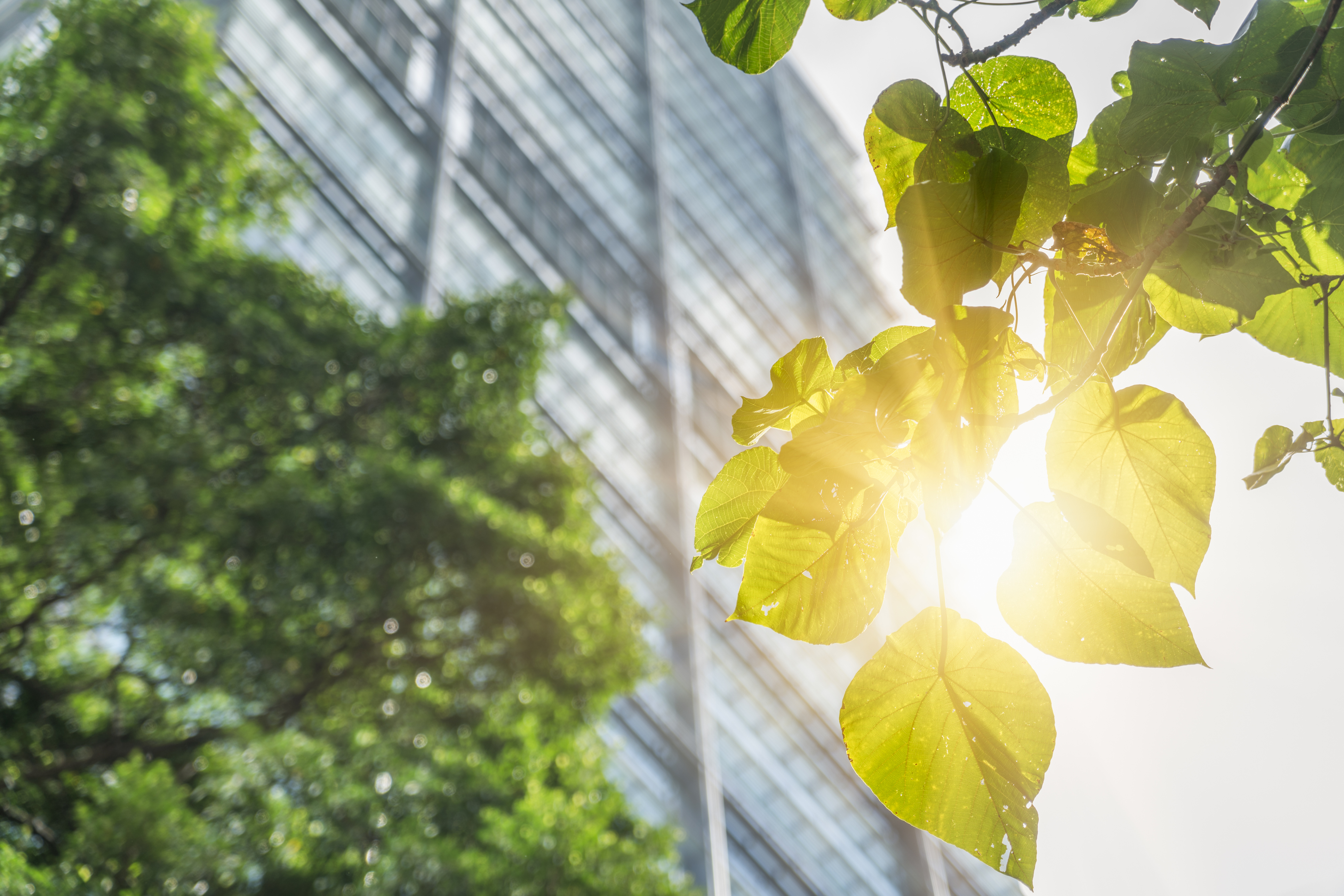 InVue 페이지 헤더 이미지